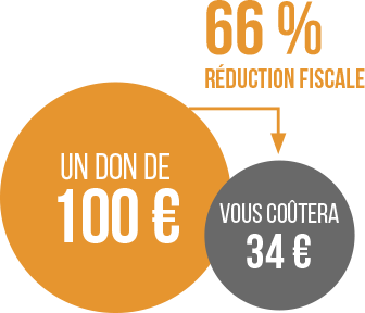 Réduction fiscale pour les dons faits à SOLidarity International French Emergency, rescue and water.